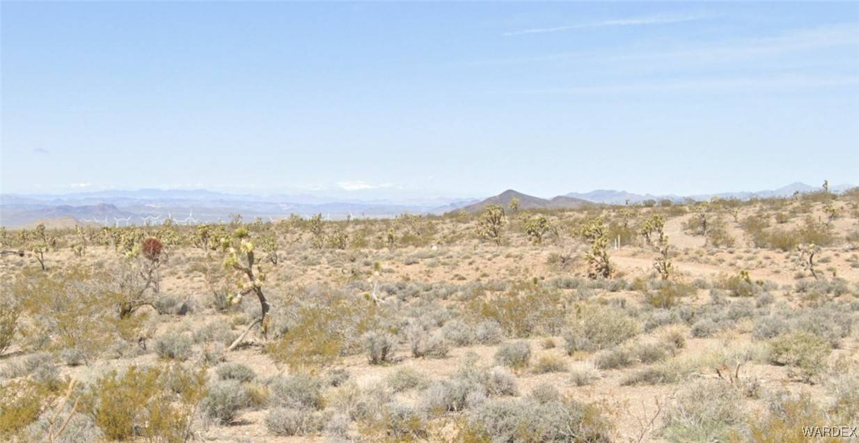 White Hills, AZ 86445,21342 & 21330 N Cyclopic BLVD