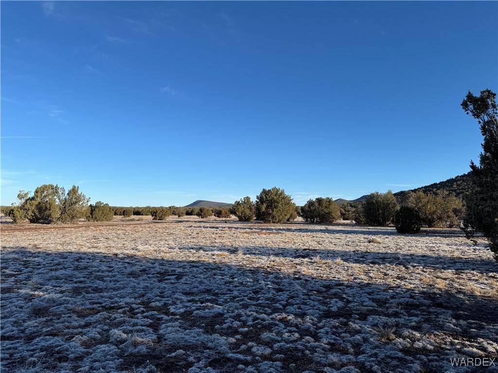 Seligman, AZ 86337,0000 Caliente Wind WAY