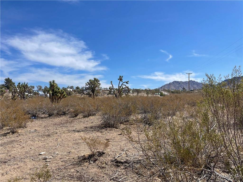 Dolan Springs, AZ 86441,328-04-266 MAGNOLIA DR