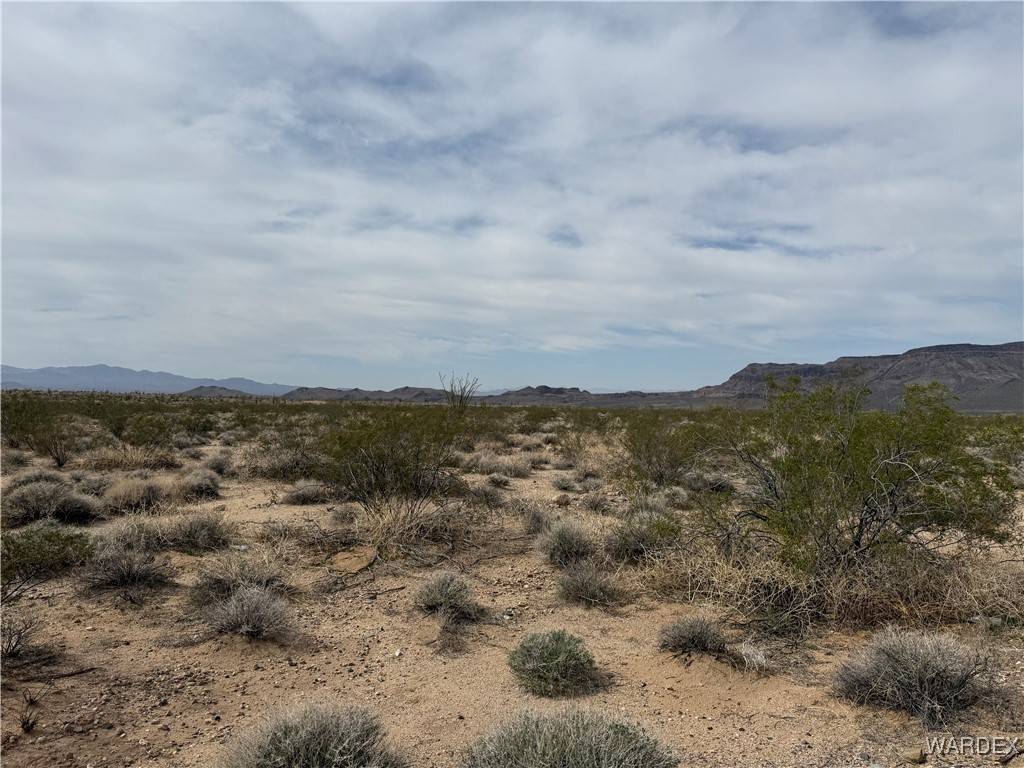 Yucca, AZ 86438,0 W Alamo Road RD