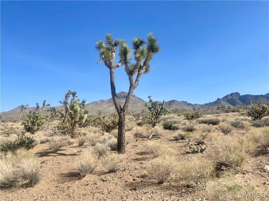 Dolan Springs, AZ 86441,327-06-541 19th ST