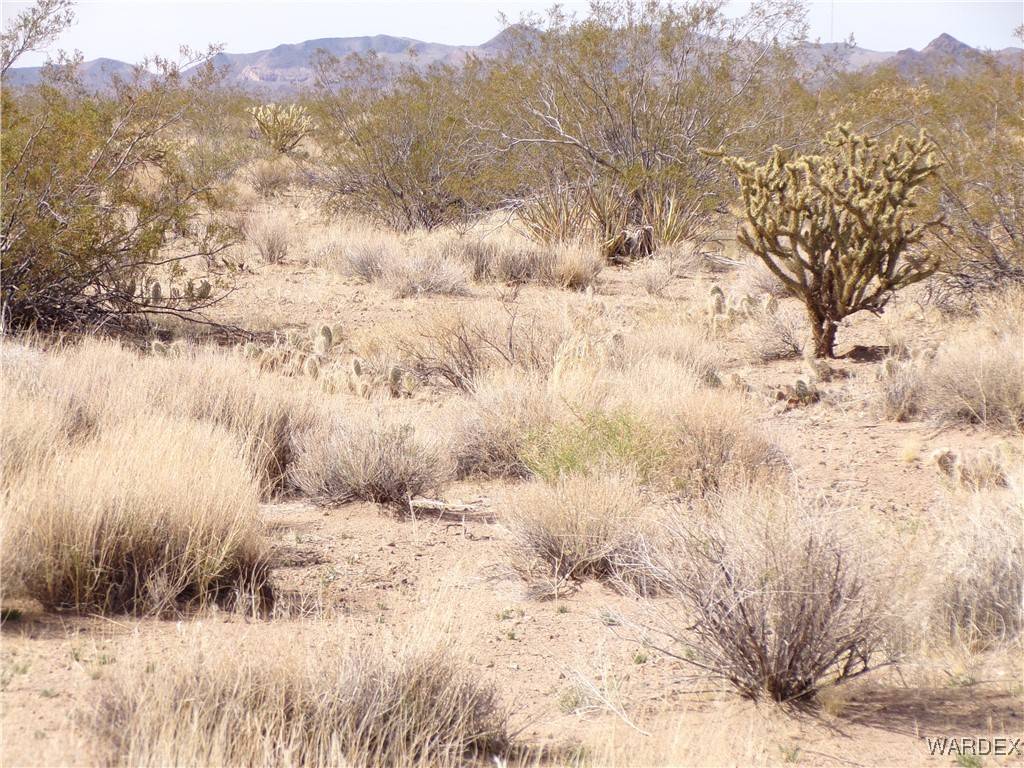 Dolan Springs, AZ 86441,326-06-272 INDIAN DR