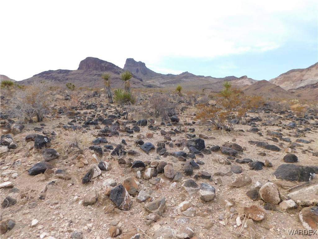 Golden Valley, AZ 86413,053 W Weineima DR