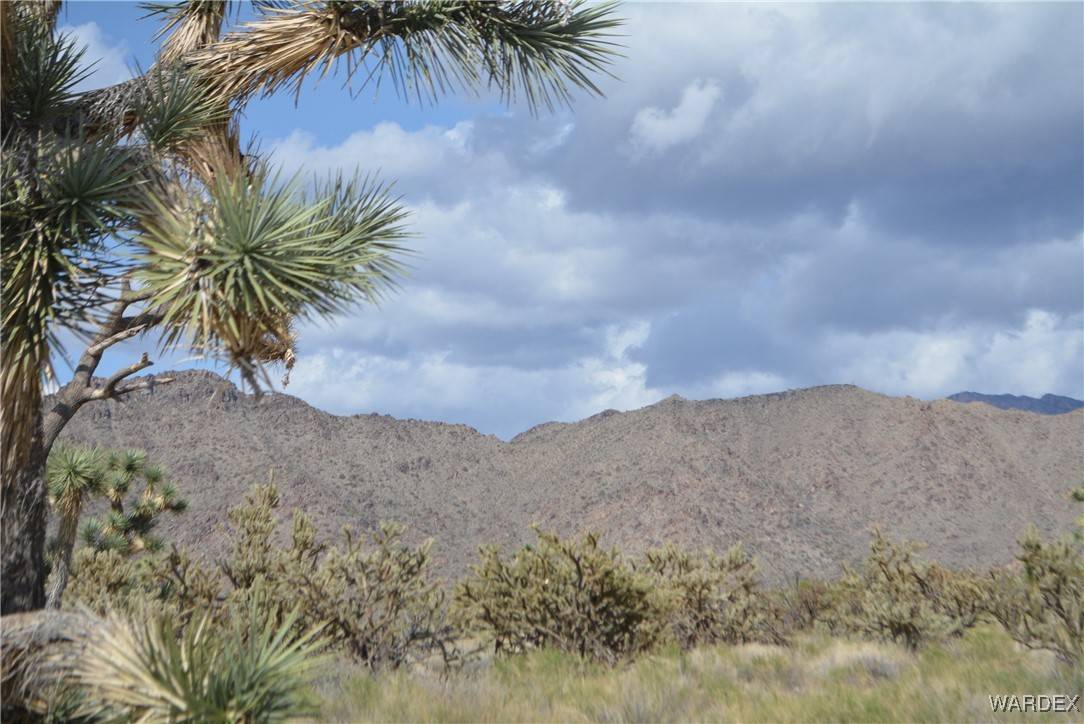 Yucca, AZ 86438,L9 S Jenny RD