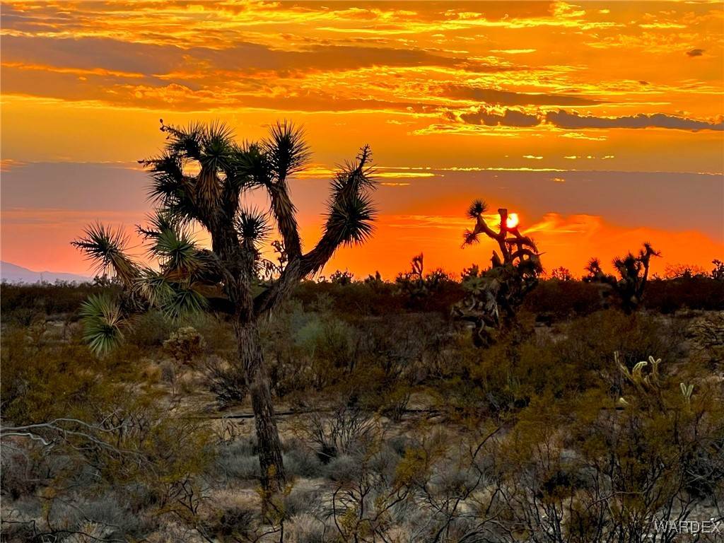 Yucca, AZ 86438,496 S Billy The Kid RD