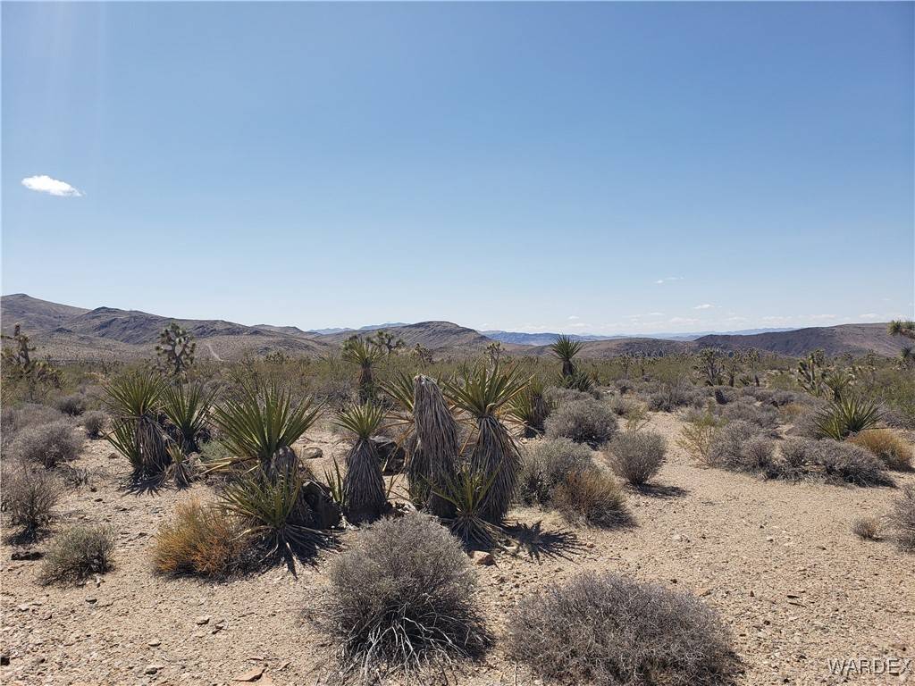 White Hills, AZ 86445,3 ACRES LA CRESCENTA