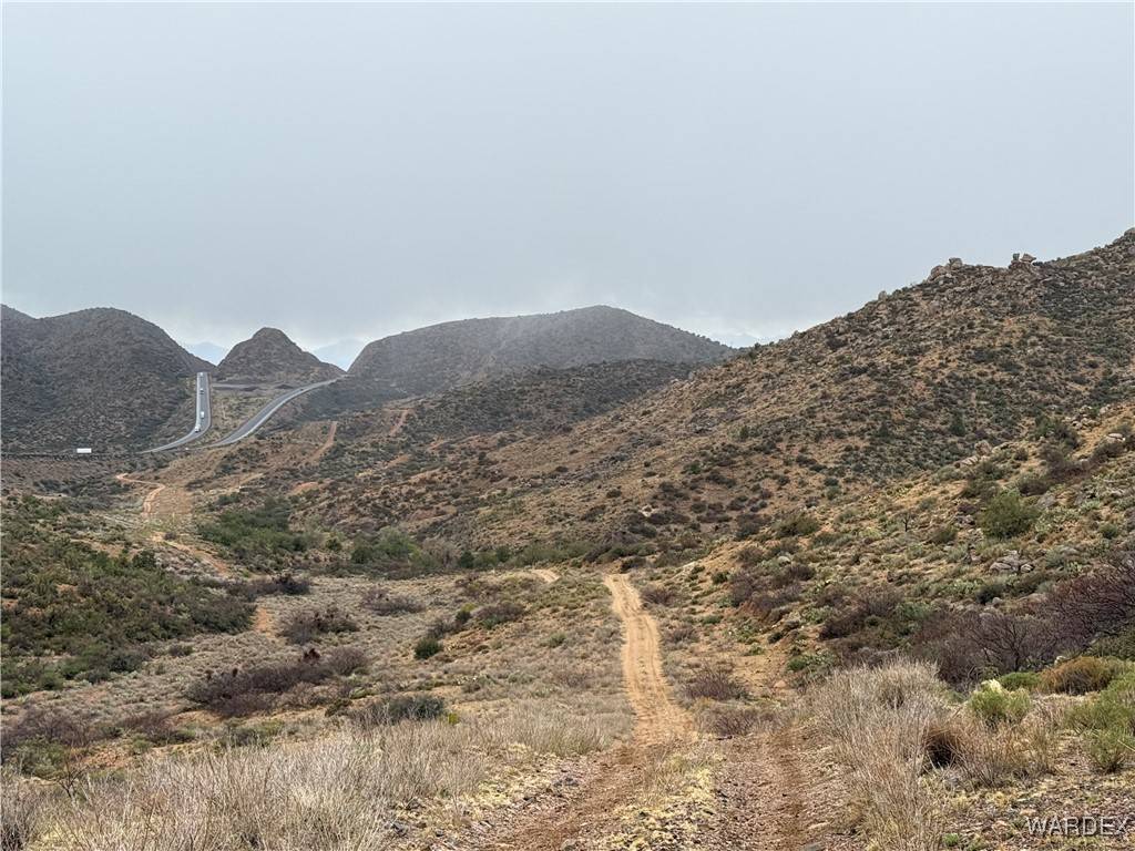 Kingman, AZ 86401,000 Between Silver Springs Rd and Willow Creek