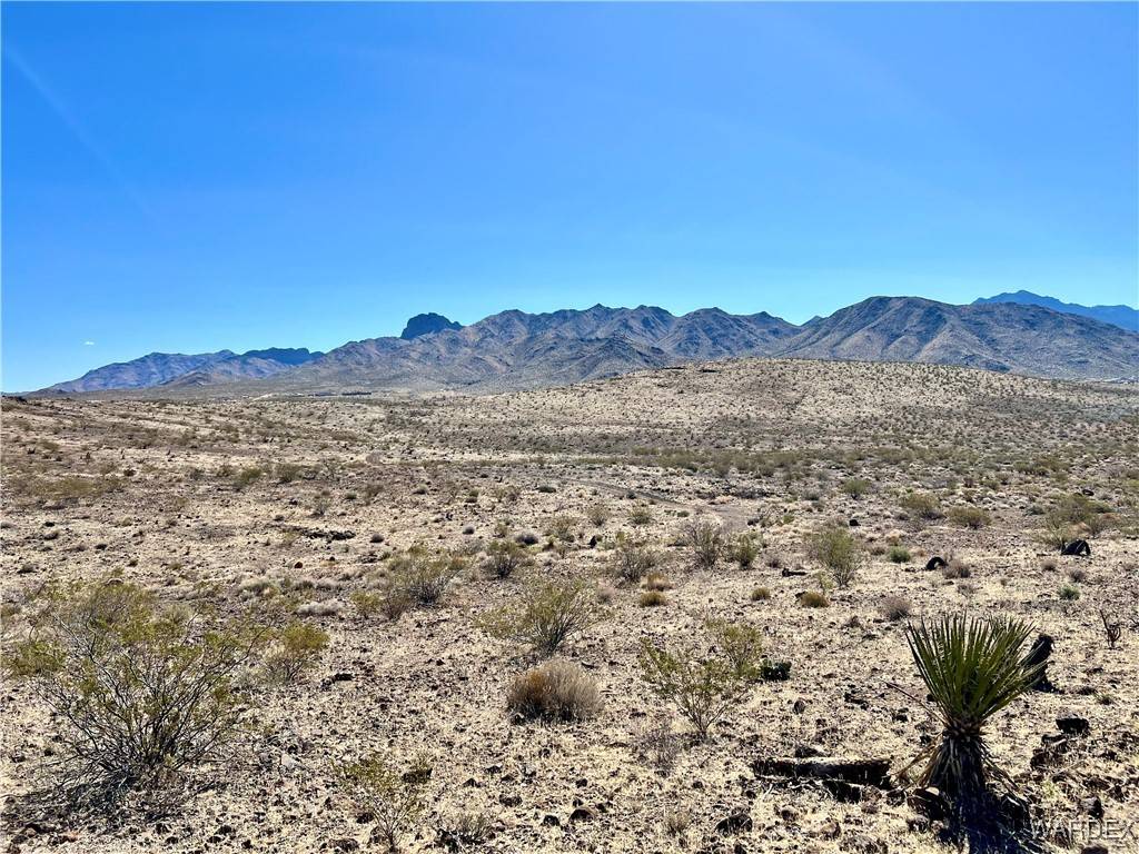 Dolan Springs, AZ 86441,00 N Cobb DR