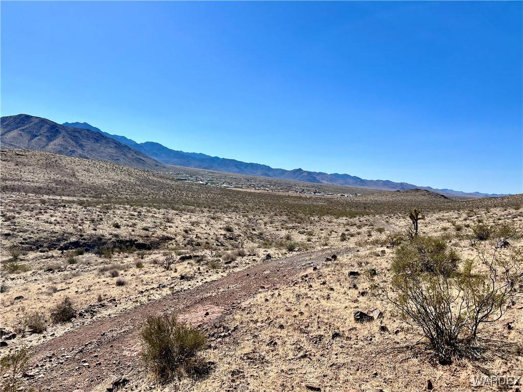 Dolan Springs, AZ 86441,00 N Cobb DR