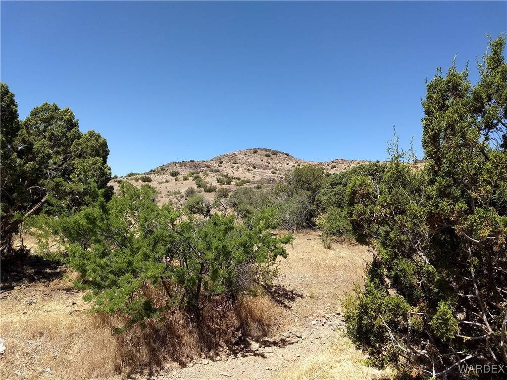 Golden Valley, AZ 86413,Lot 007C N Unkown
