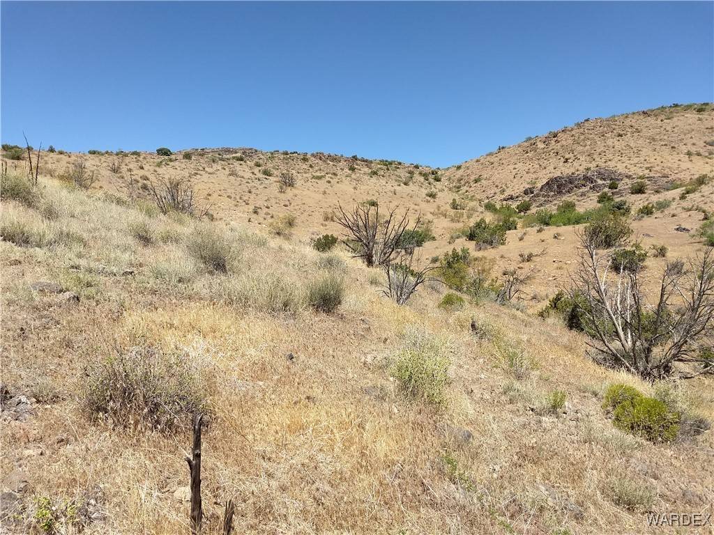 Golden Valley, AZ 86413,Lot 007C N Unkown