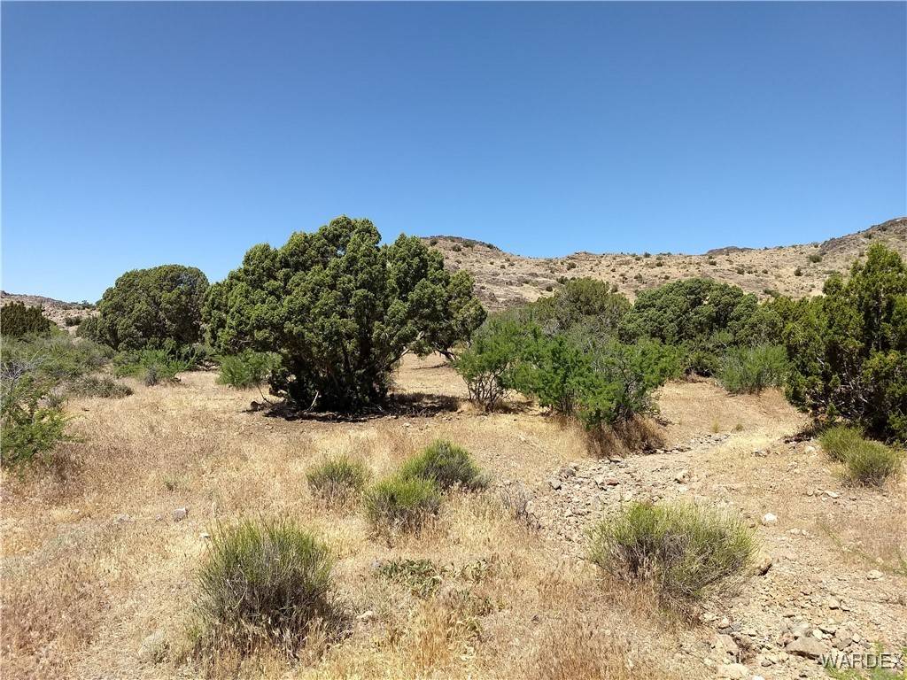 Golden Valley, AZ 86413,Lot 007C N Unkown
