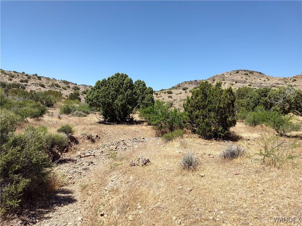 Golden Valley, AZ 86413,Lot 007C N Unkown