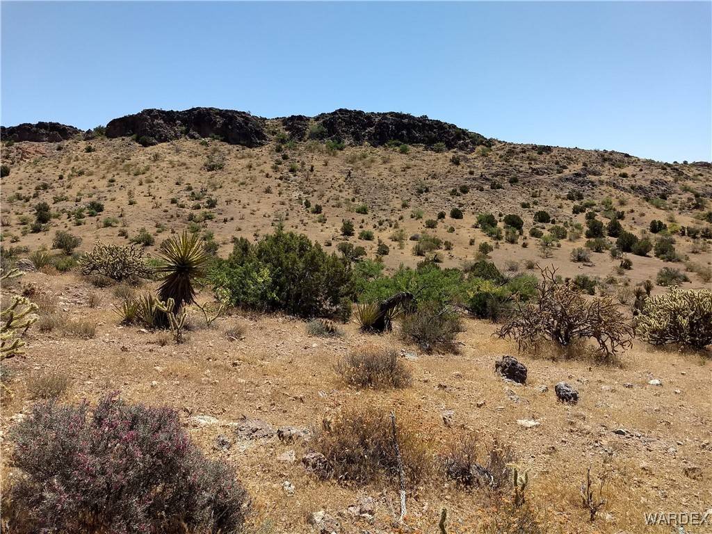 Golden Valley, AZ 86413,Lot 004K N Unknown