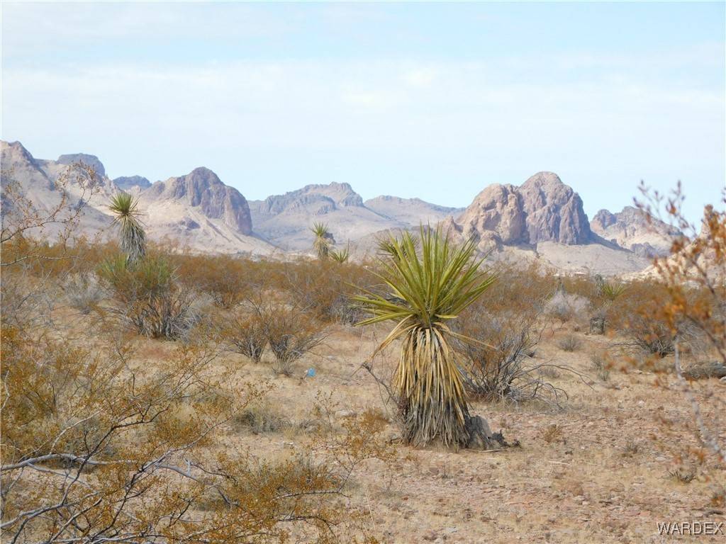 Golden Valley, AZ 86413,3160 S Alexandrite RD