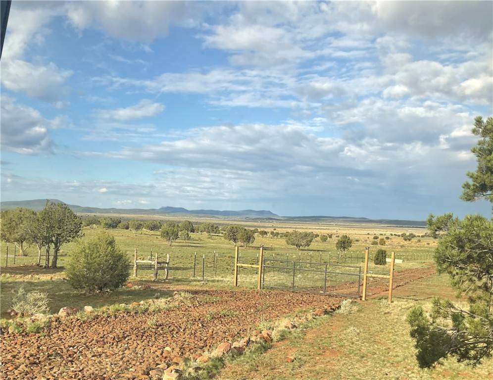 Seligman, AZ 86337,299 Markham Pass #299