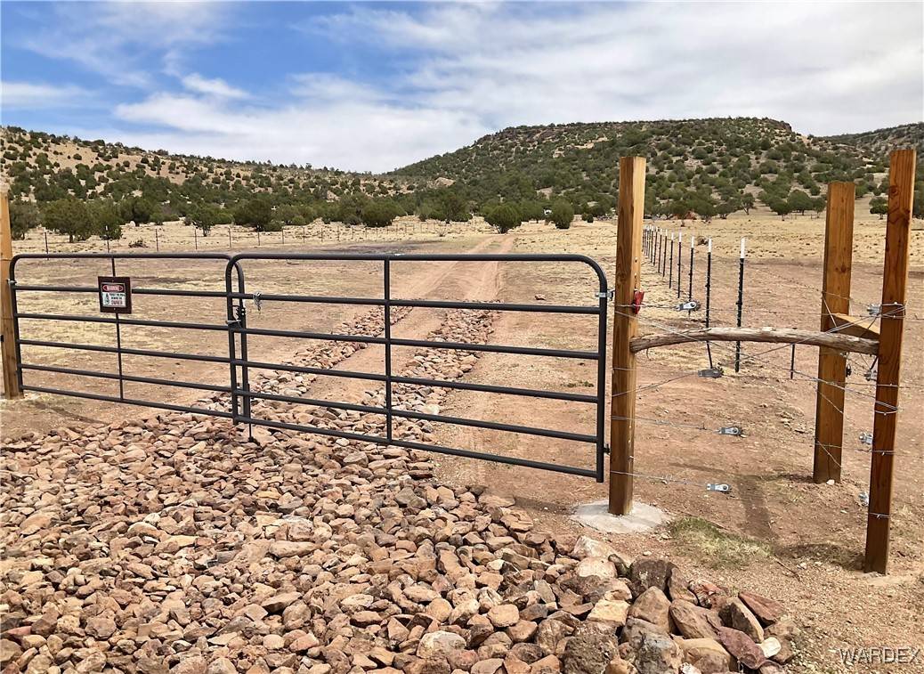 Seligman, AZ 86337,299 Markham Pass #299
