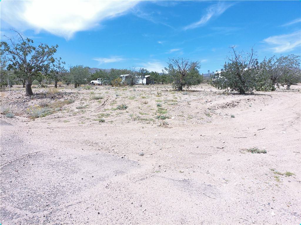 Wikieup, AZ 85360,18041 S Cholla Chuck DR