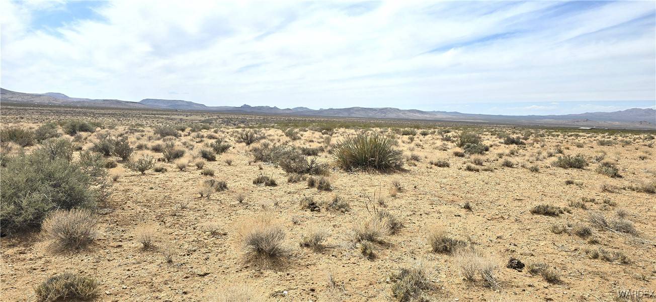 Dolan Springs, AZ 86441,00 N Voight RD