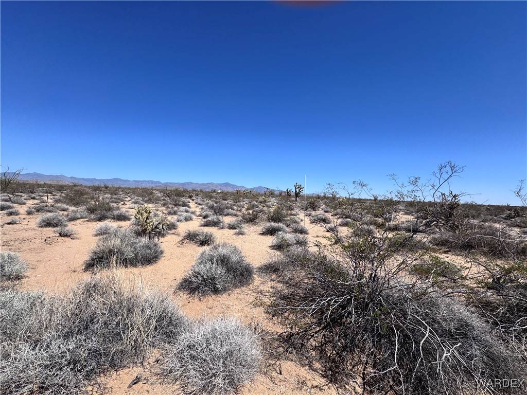 Yucca, AZ 86438,00 S Doc Holliday RD