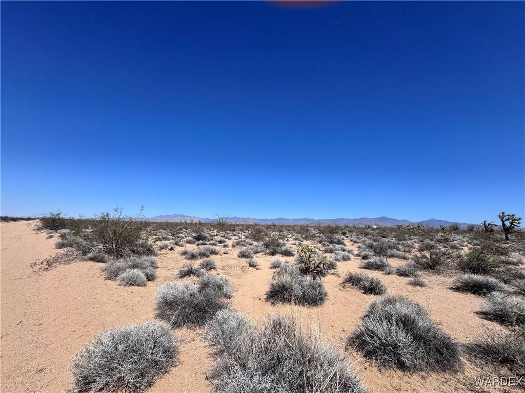 Yucca, AZ 86438,00 S Doc Holliday RD