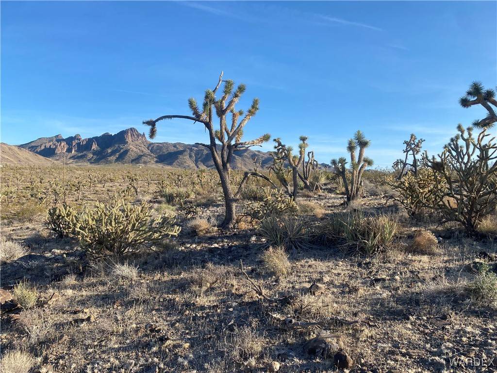 Dolan Springs, AZ 86441,328-03-449 NORTH DR