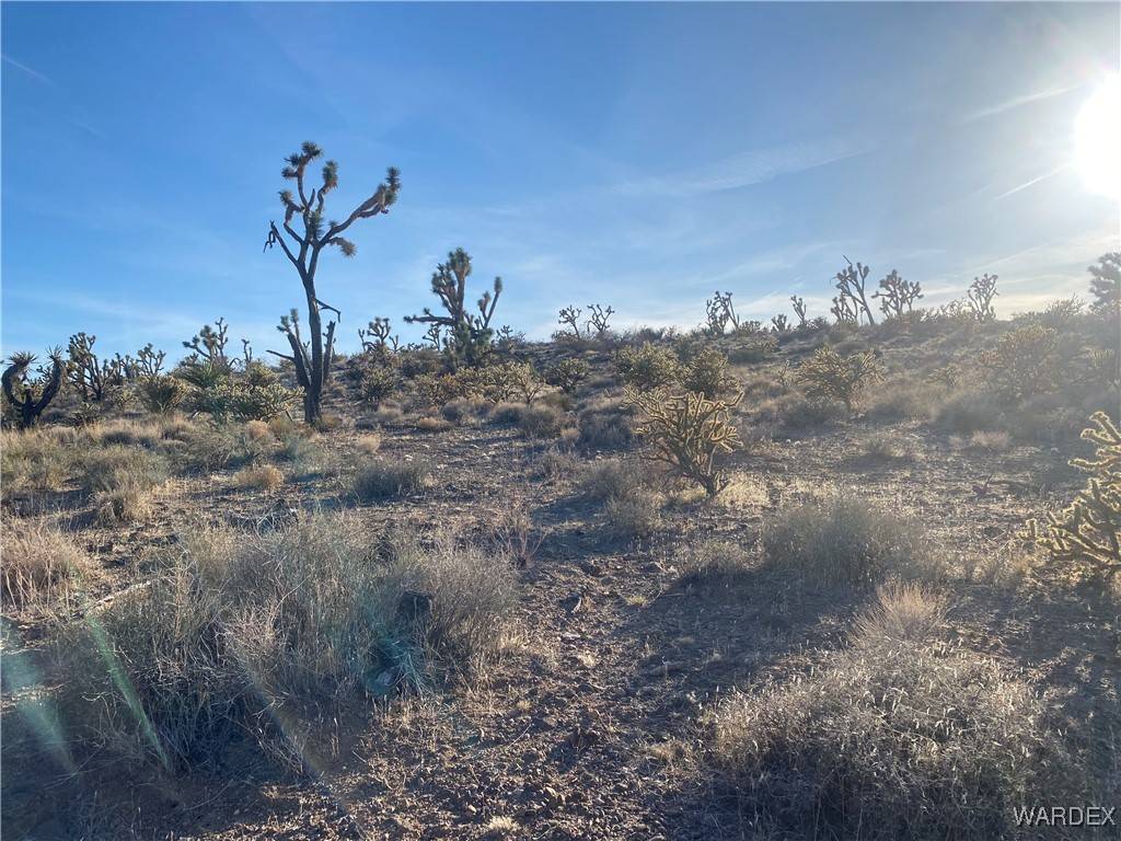 Dolan Springs, AZ 86441,328-03-449 NORTH DR