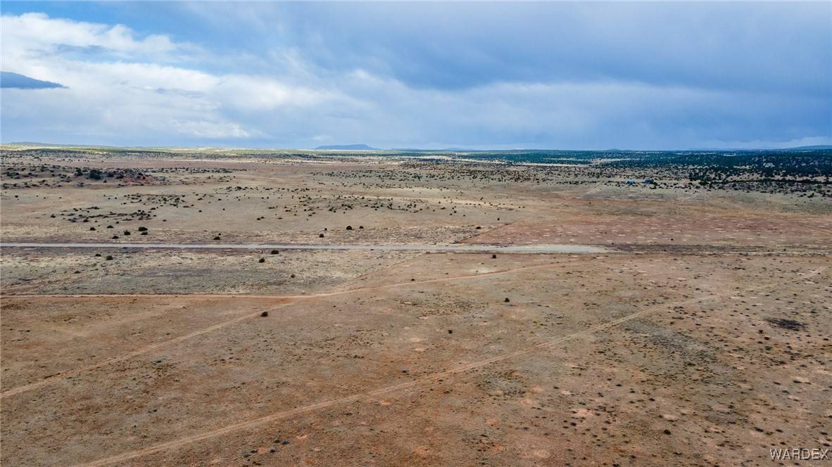 Seligman, AZ 86337,301-34-046 W Storms Bluff RD