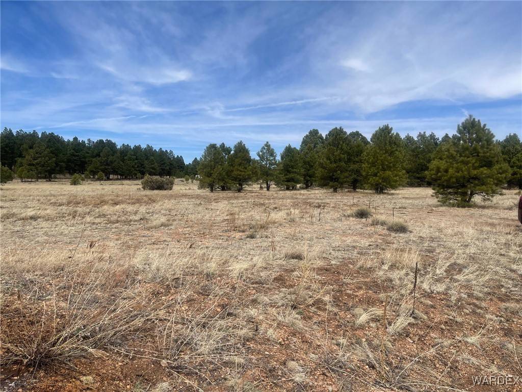 Williams, AZ 86046,603 N Cool Pines RD