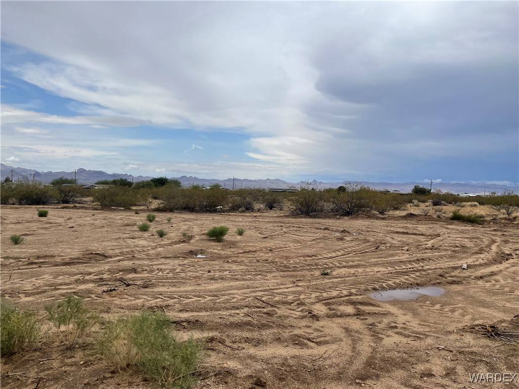 Golden Valley, AZ 86413,0 N Alpine RD