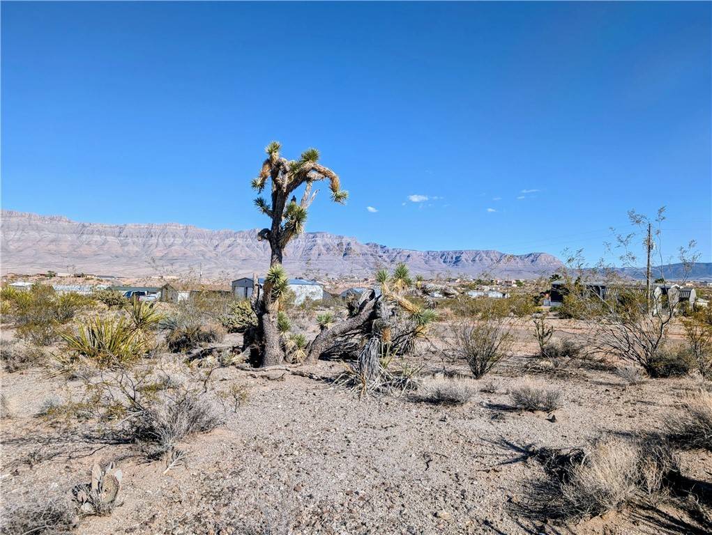 Meadview, AZ 86444,115 E Kolb DR