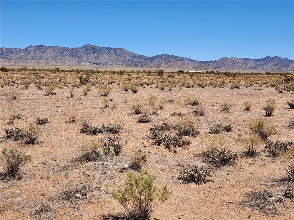 Kingman, AZ 86401,5632 N Ross DR #2/25