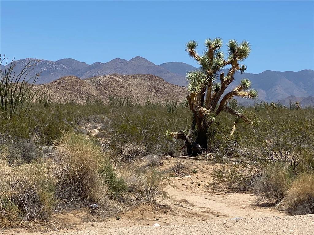 Yucca, AZ 86438,#812 Stagecoach Trail #812
