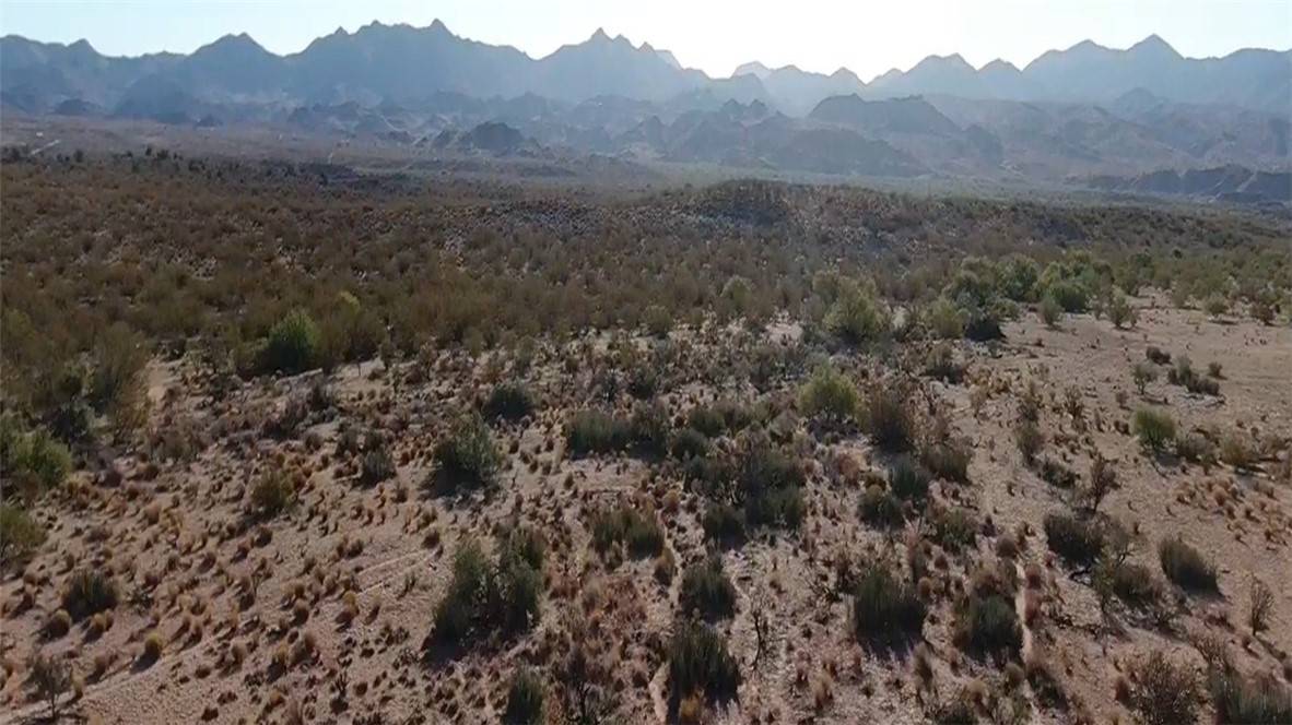 Kingman, AZ 86401,21 F-2 S Silverado Parkway West