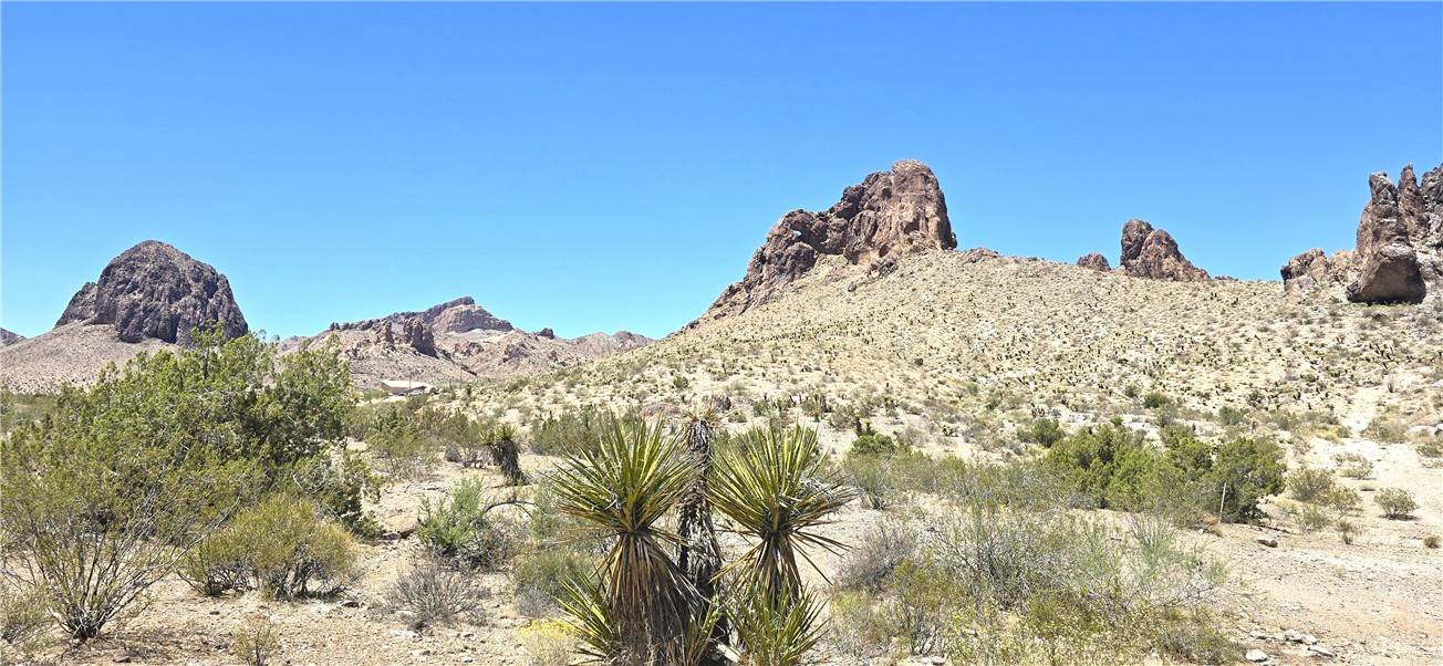 Golden Valley, AZ 86413,3351 S Boriana RD