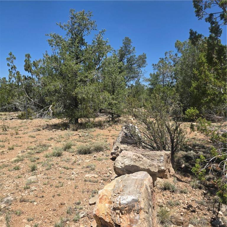 Seligman, AZ 86337,32220 W Conejo RD