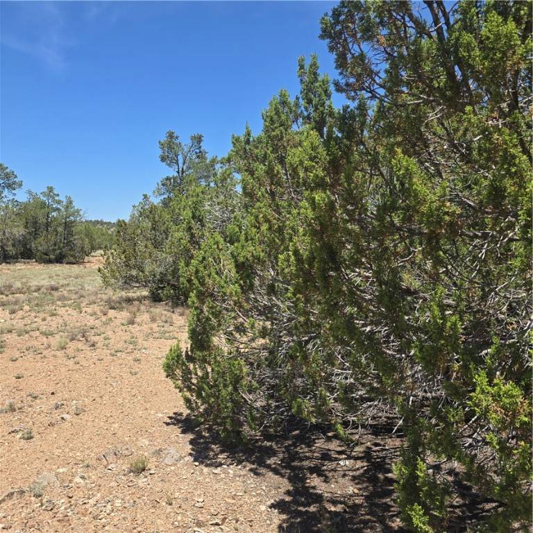 Seligman, AZ 86337,32220 W Conejo RD