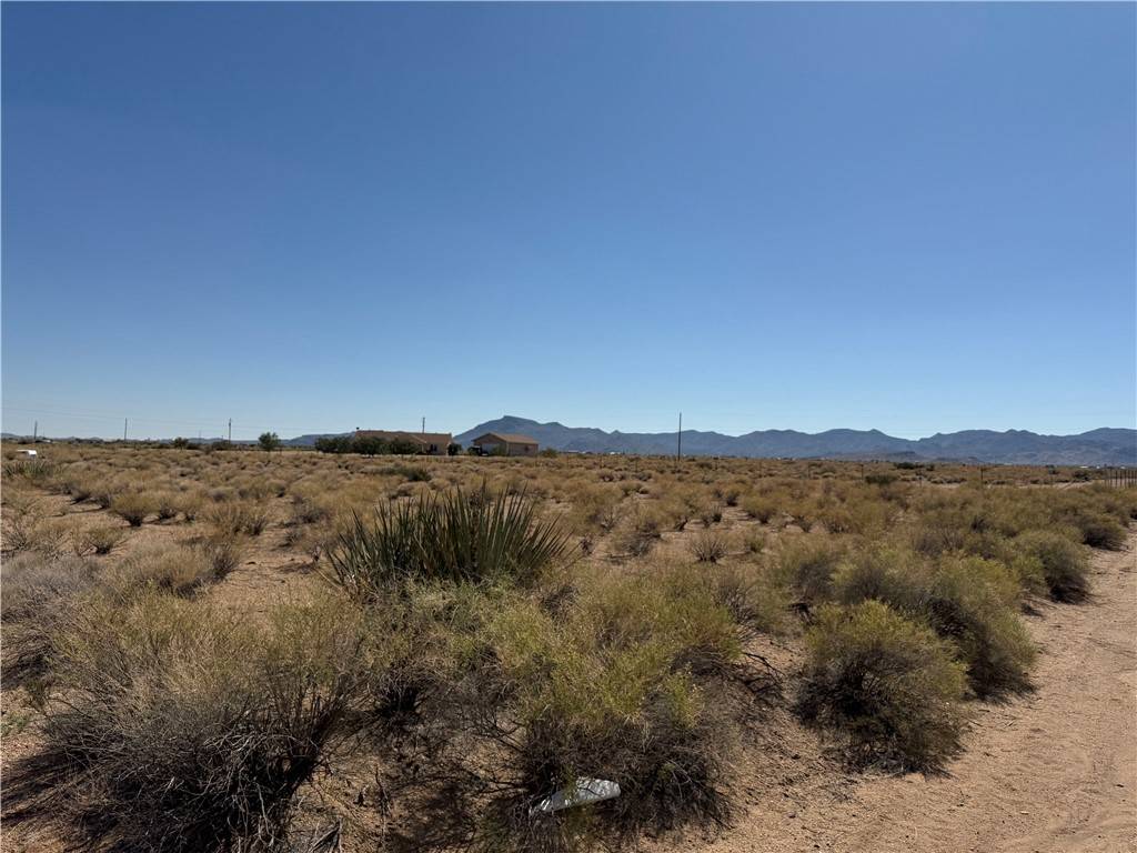 Kingman, AZ 86409,239 Lot Number #239