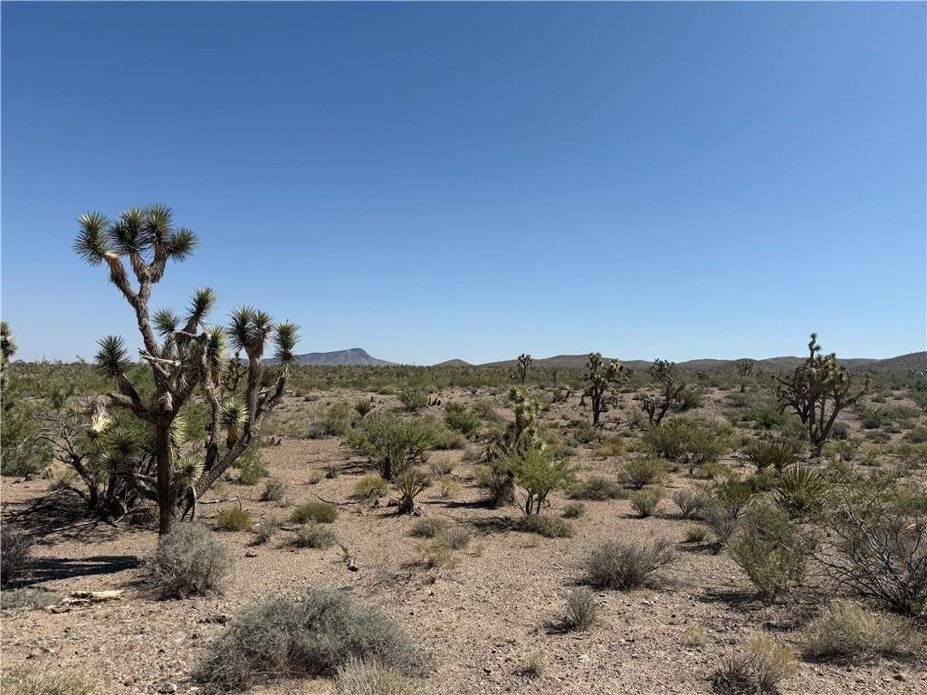 White Hills, AZ 86445,0 N Silver Eagle DR