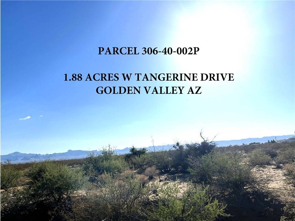 Golden Valley, AZ 86413,306-40-002P W TANGERINE DR