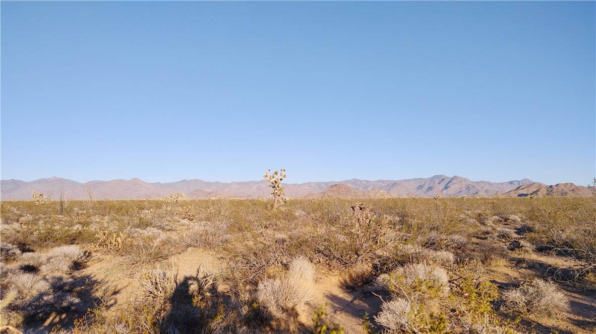 Yucca, AZ 86438,3501 Wild Bill RD