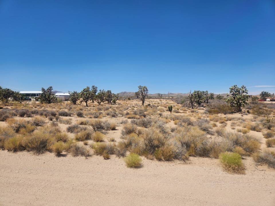 Meadview, AZ 86444,27085 N Apple DR