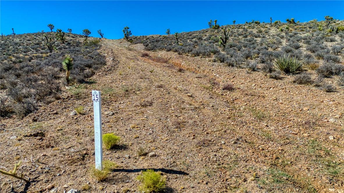 White Hills, AZ 86445,Lot 15 337-01-074