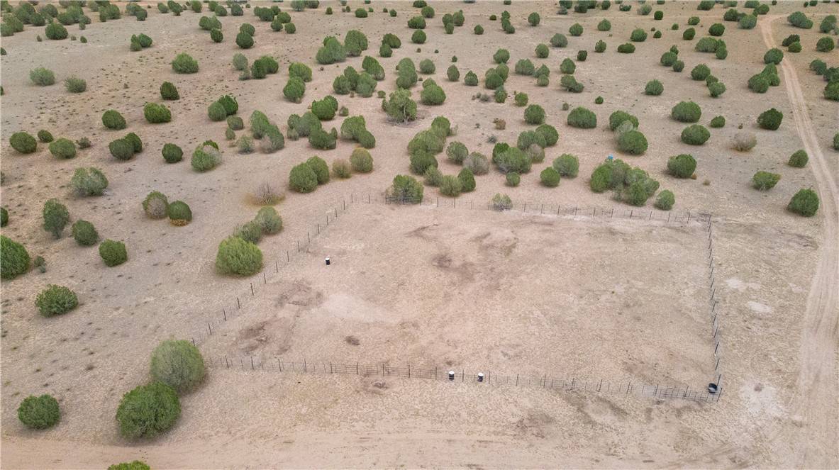 Seligman, AZ 86337,160 Acres Harris Valley Ranch RD