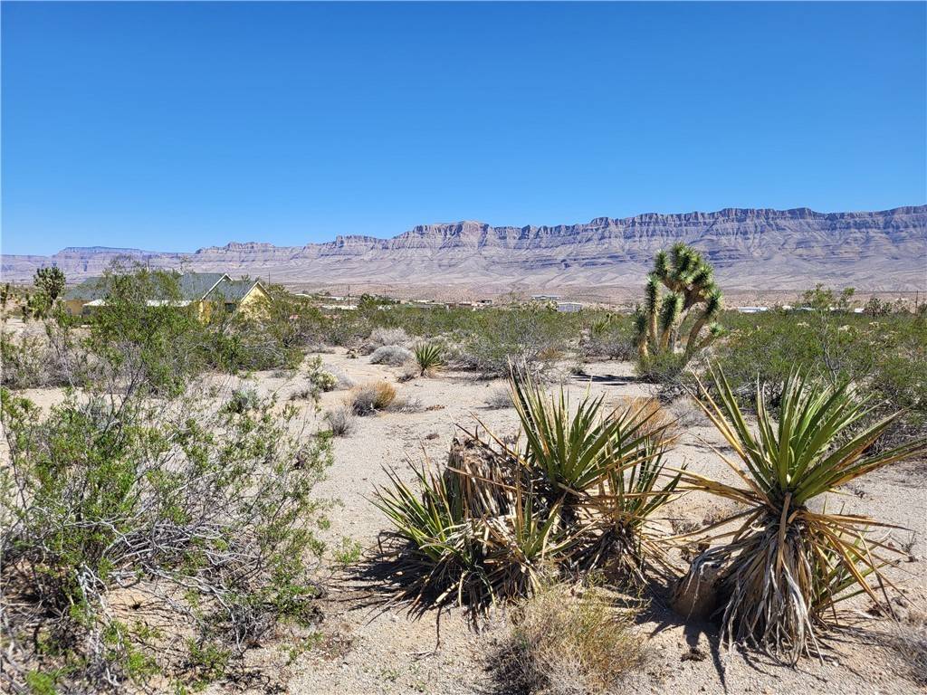 Meadview, AZ 86444,340 E Yates DR