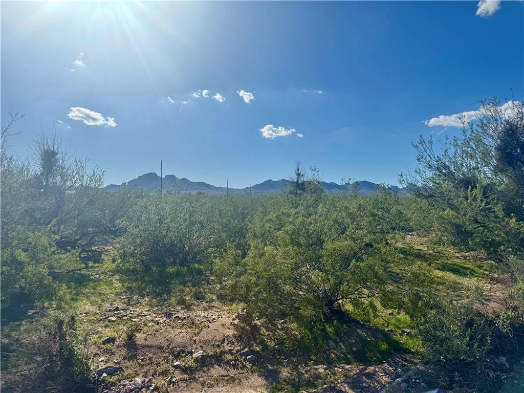 Golden Valley, AZ 86413,981 S Elfrida Rd