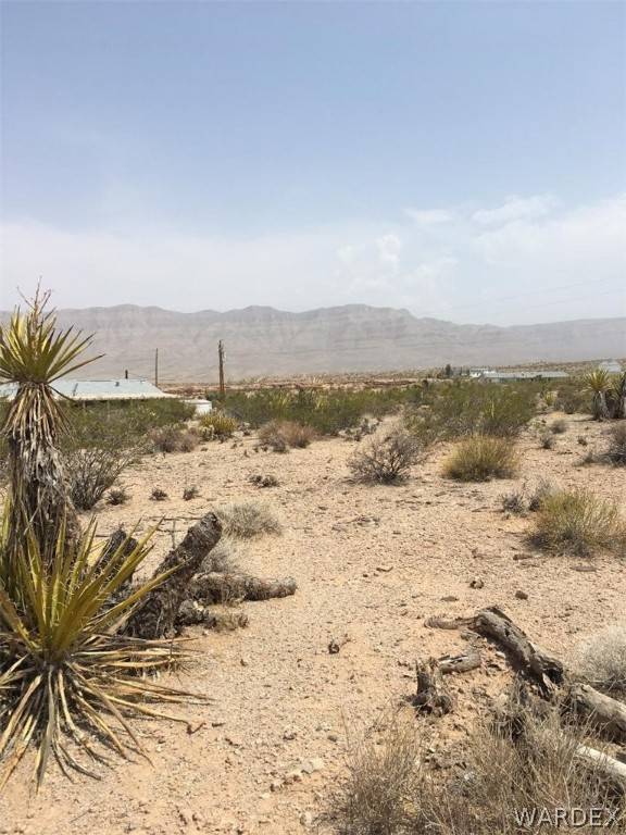 Meadview, AZ 86444,1150 Price DR