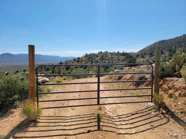 Hackberry, AZ 86411,10755 E Tree Line DR