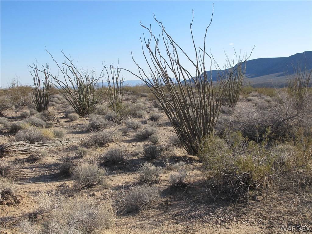 Yucca, AZ 86438,105B W Sunset RD