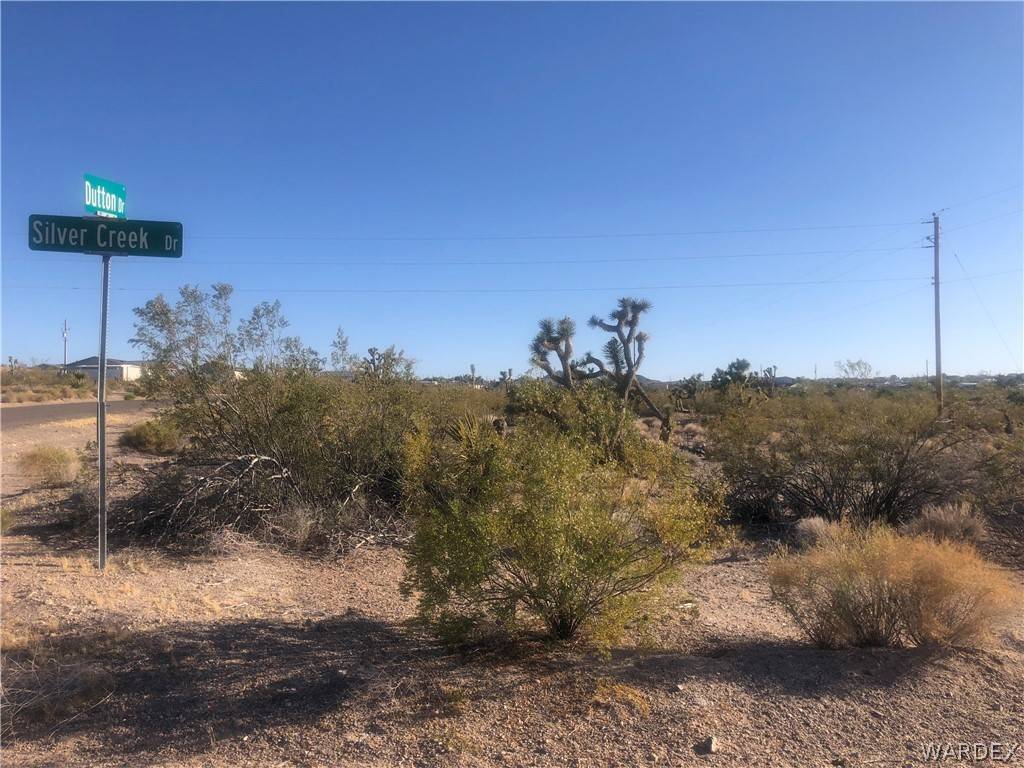 Meadview, AZ 86444,531 SILVERCREEK DR